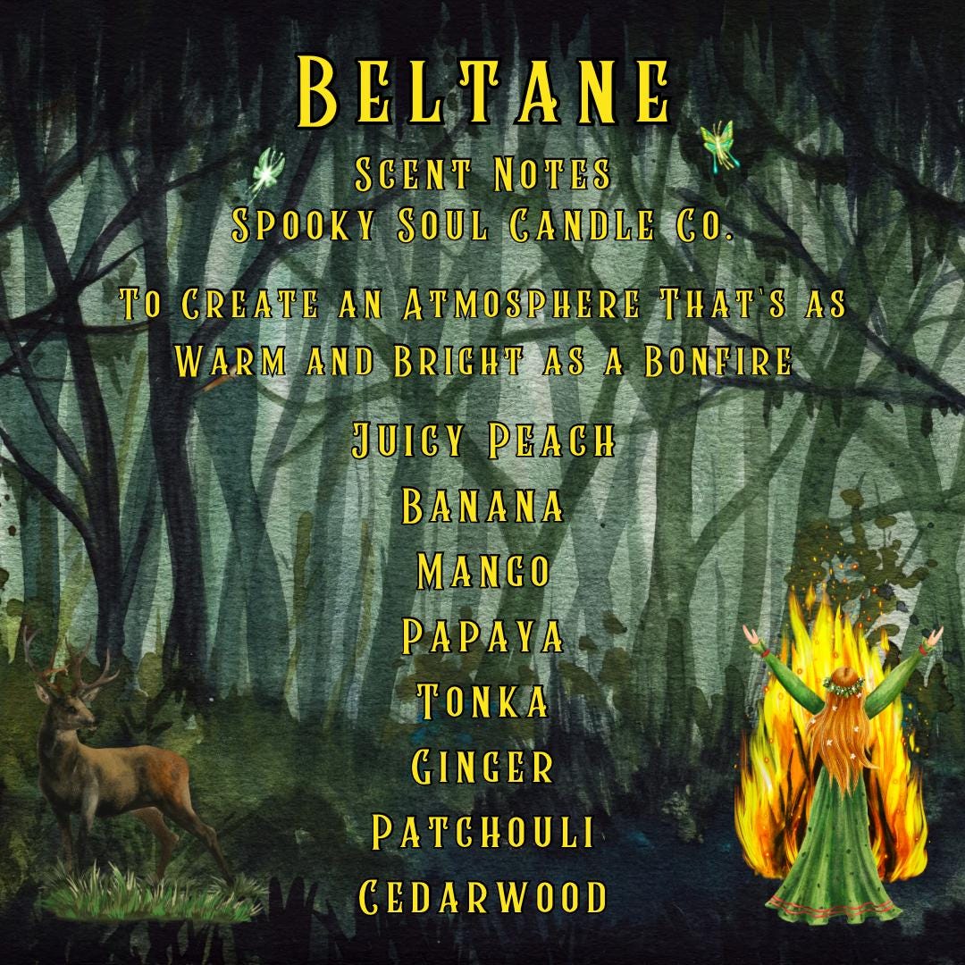 Beltane 3 Wick Candle